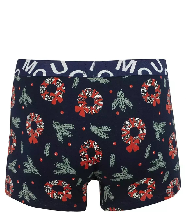 Men's gift Christmas boxer shorts