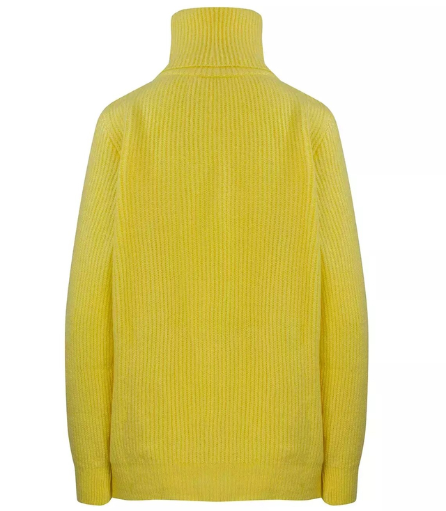 Classic ribbed turtleneck sweater