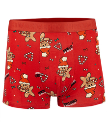 Christmas boxers with Santa Claus men's Christmas Gift