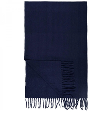 Elegant scarf with tassels in one color