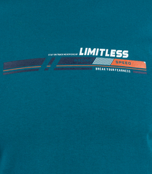 Męski t-shirt koszulka krótki rękaw ze sportowym nadrukiem