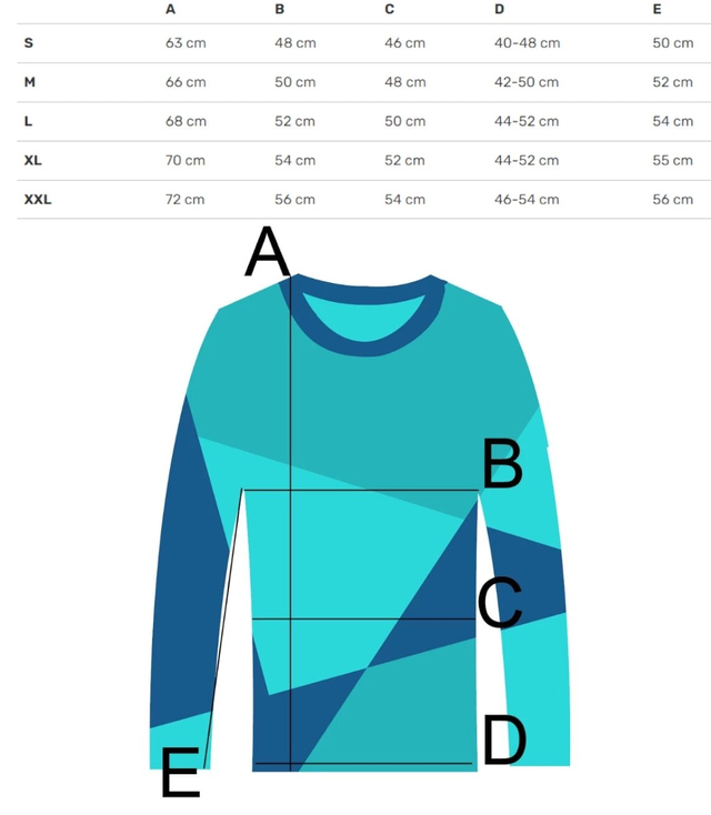 Men's long-sleeve printed sweatshirt