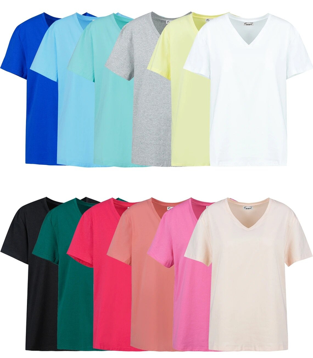 Basic V-neck T-shirt blouse ALDONA