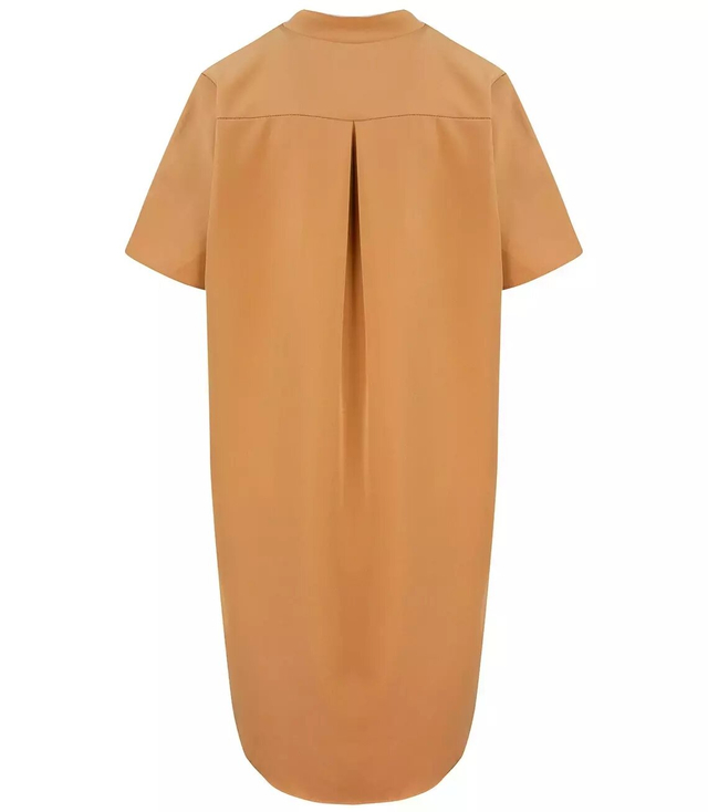 A simple elegant shirt dress for occasions