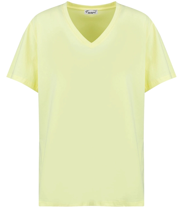 Basic V-neck T-shirt blouse ALDONA