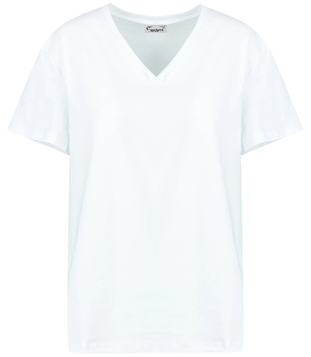 Basic V-neck T-shirt blouse ALDONA