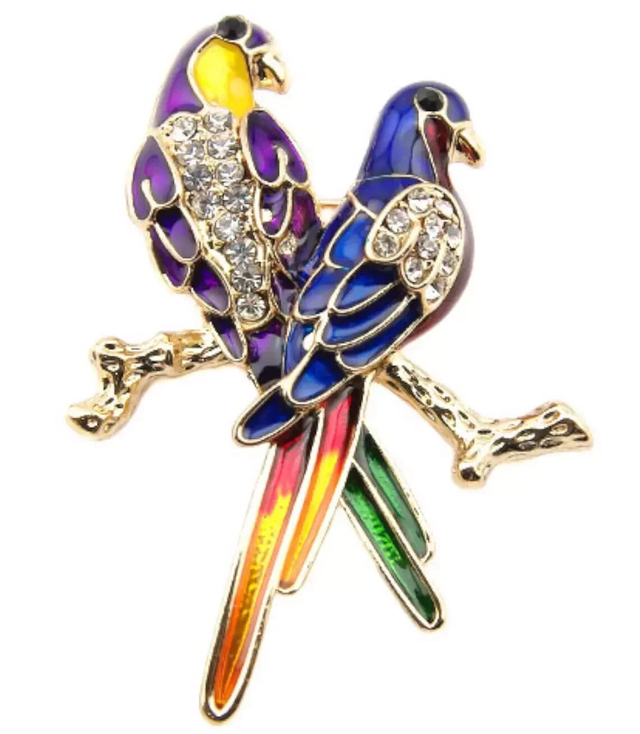 Color brooch parakeets parrots rhinestones Gift