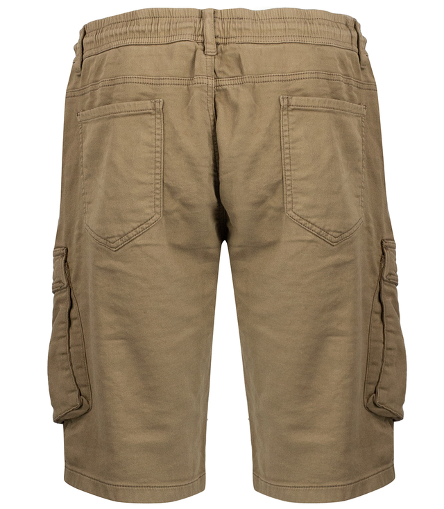 Cargo shorts with elastic waistband and cargo shorts