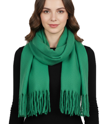 Elegant scarf with tassels in one color