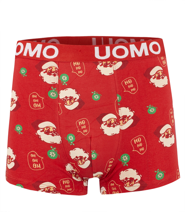 Christmas boxers with Santa Claus men's Christmas Gift