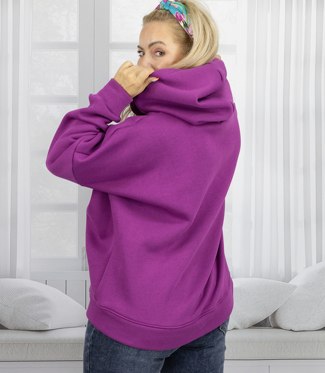 Warm women's sweatshirt one-color basic with hood BROOKLYN