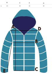 WOMEN&#39;S SNOWBOARD SKI JACKET