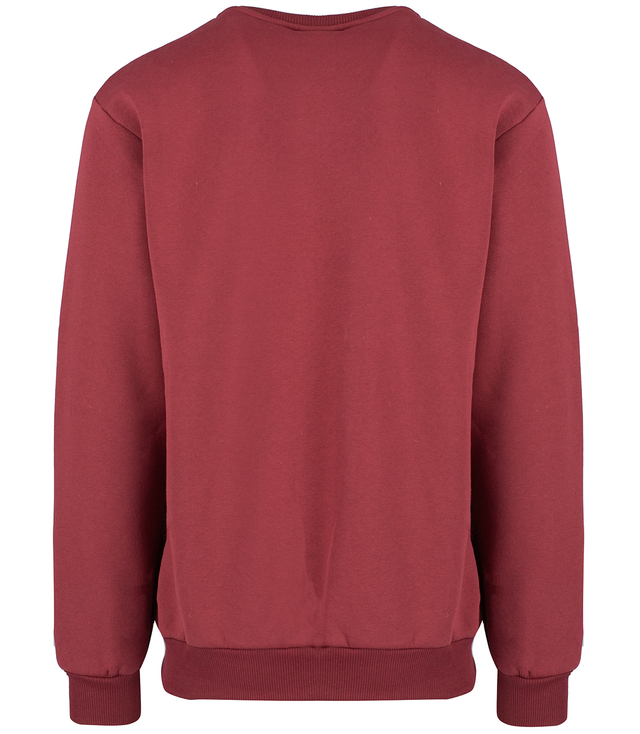 Men's warm sweatshirt with ozodbone embroidery