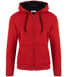 Men's warm zip-up sweatshirt with a contrasting hood