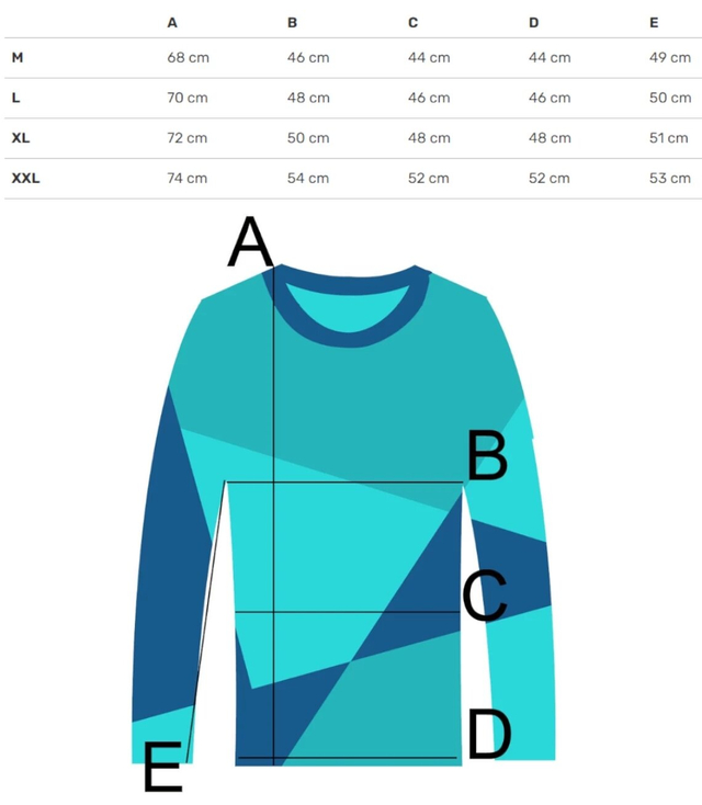 Men's long-sleeved sweatshirt with a print