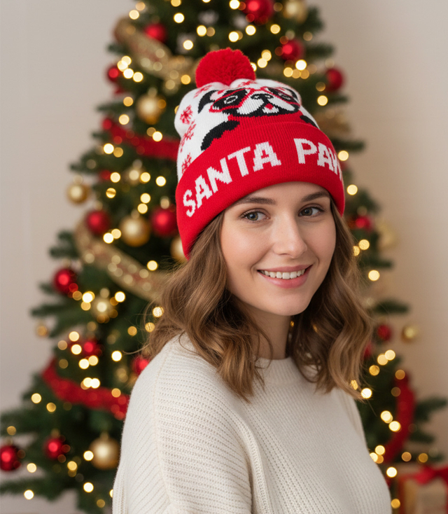 Winter Christmas hat with pom-pom - perfect for preze