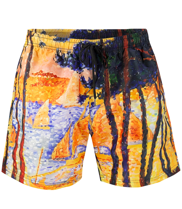 Swim shorts with artistic print