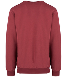 Men's warm sweatshirt with ozodbone embroidery