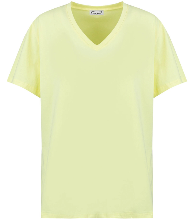 Basic V-neck T-shirt blouse ALDONA